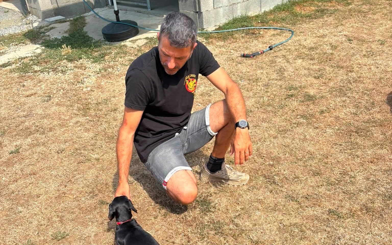 Coaching personnalisé entre Luc et un chien