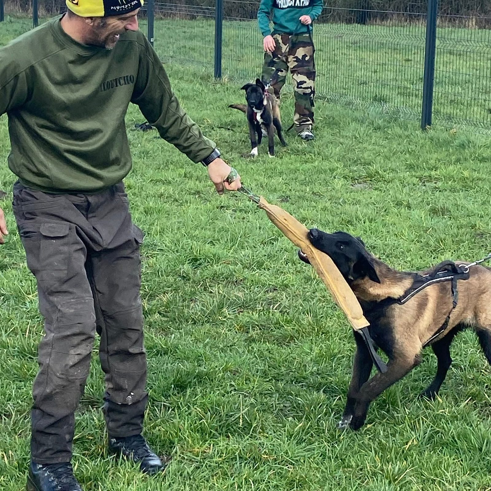 Exercice en situation avec rappel au mordant